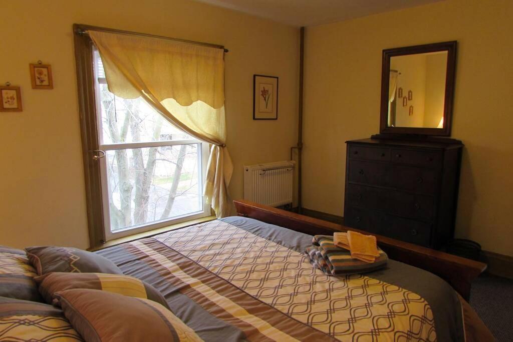 Great Gorge Guesthouse - Walk To The Falls, The Casino And All Downtown Restaurants - Across From The Aquarium Ніагара-Фоллс Екстер'єр фото